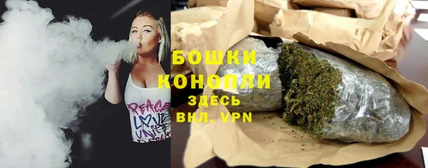 дмт Арсеньев