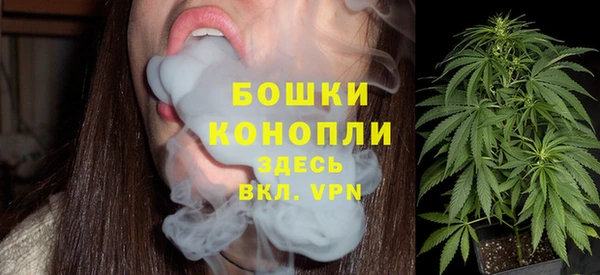 дмт Арсеньев