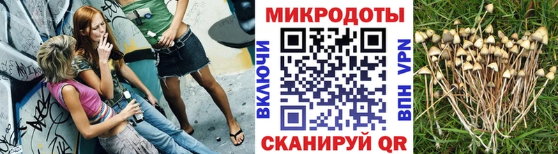 Псилоцибиновые грибы мухоморы mega сайт Сусуман